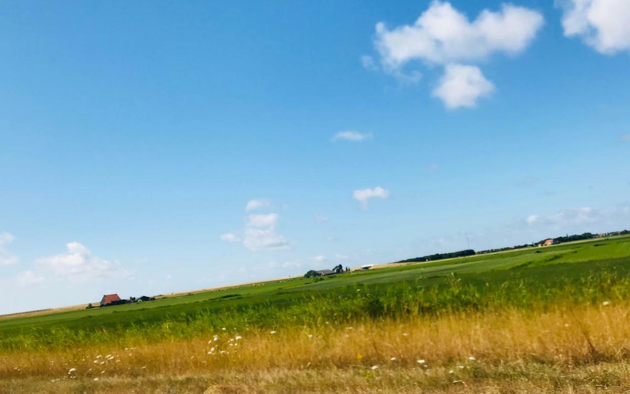 Stinswoning " Waadhoeke " Tzummarum Bagian luar foto