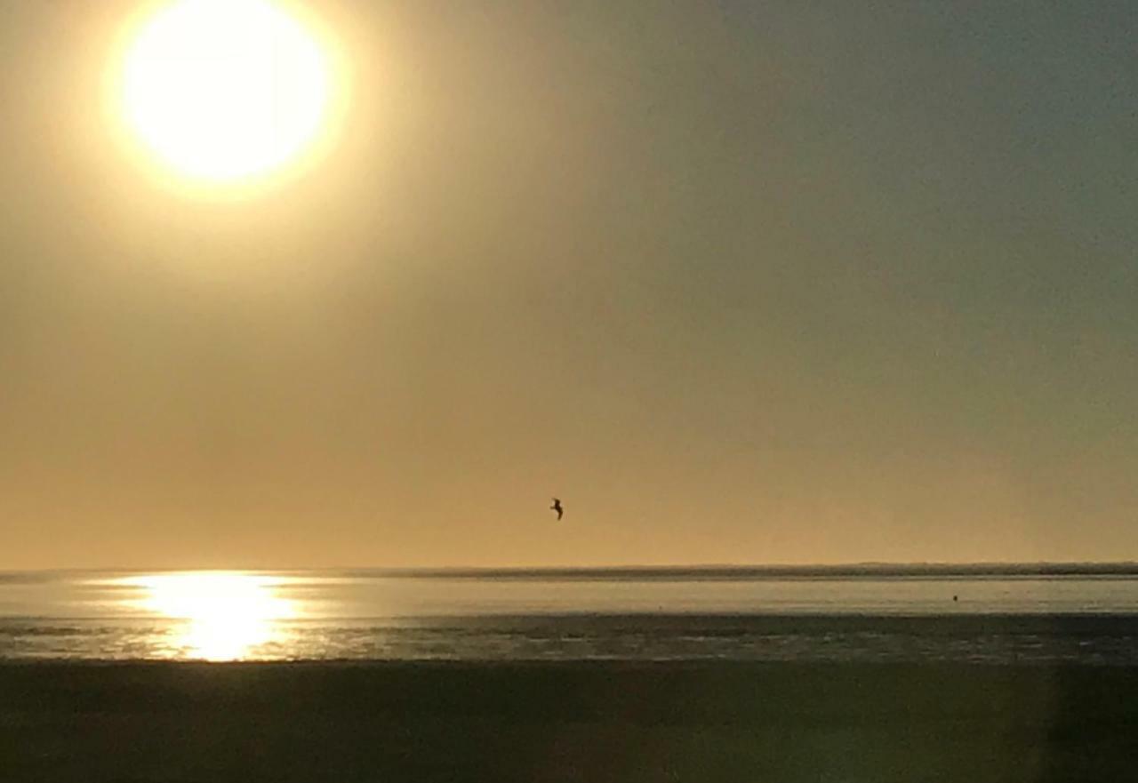 Stinswoning " Waadhoeke " Tzummarum Bagian luar foto